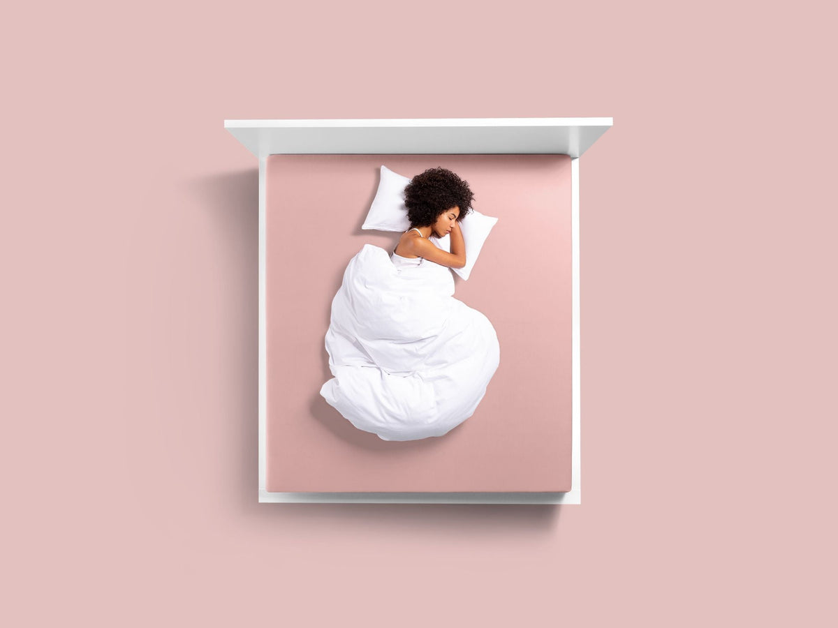 Bella Donna Jersey Fitted Sheet