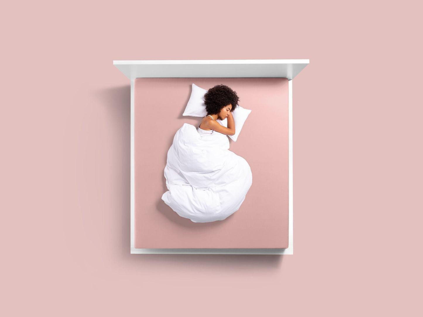 Bella Donna Jersey Fitted Sheets